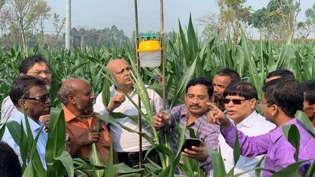 FAO distributes 12,500 traps among farmers to tackle fall armyworm