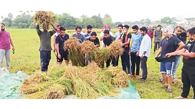 BCL stands by Pabna farmers 