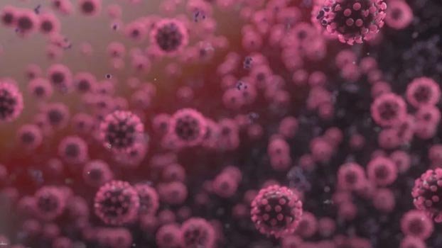 Global death toll reaches 239,588