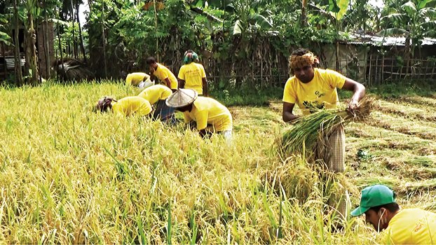 Juba League helps  farmer
