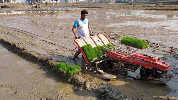 Farmers using  transplanter machine to sow paddy
