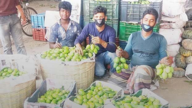 Satkhira farmers struggle to ship mangoes amid shutdown