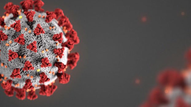 Pregnant woman dies with Covid-19 symptom