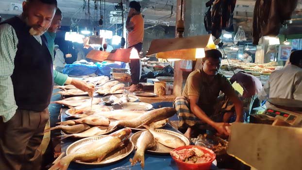 Mother fish hunting goes  unabated in Kishoreganj