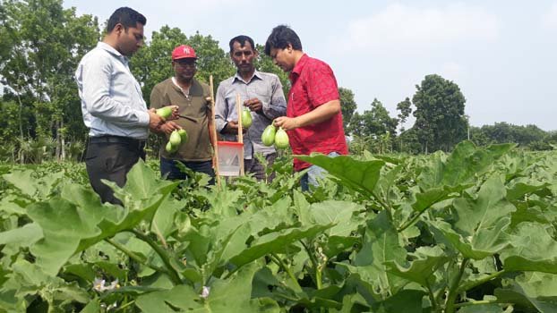 E-Krishi attracts Jhenaidah farmers