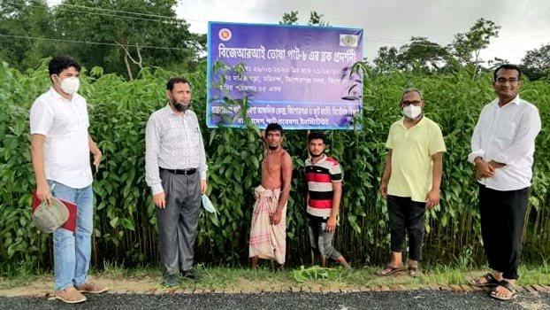 Use of modern tech in jute   digestion stressed