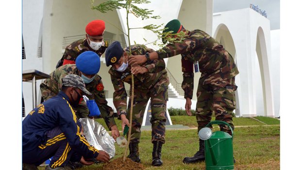 Trees planted in Ramu Cant marking Mujib Barsho