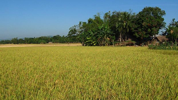 Big steps to boost farm sector
