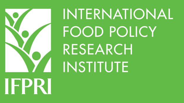 Buy paddy, not rice, to ensure fair price: IFPRI