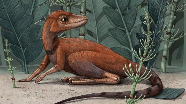 tiny dinosaur species