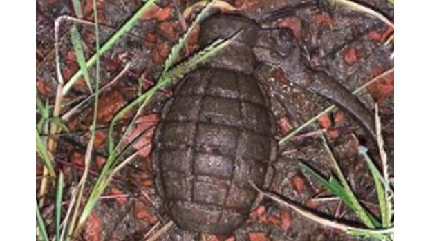 Grenade recovered from BSRM factory