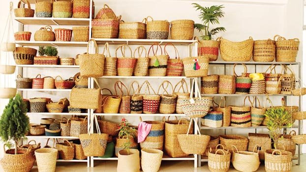  New initiative on to   rejuvenate jute sector