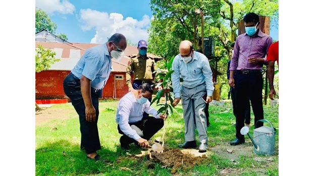 Tree planting campaign launched