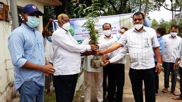 Tree planting prog inaugurated   in Ishwardi