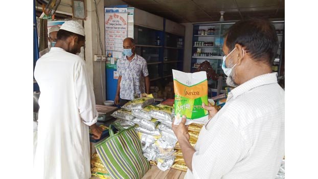 Optimum price, yield encourage T-Aman farmers in Jhenaidah
