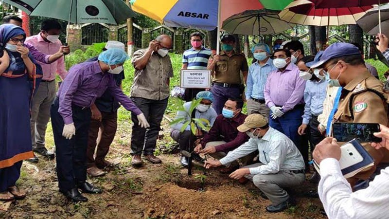 Tree plantation prog launched 