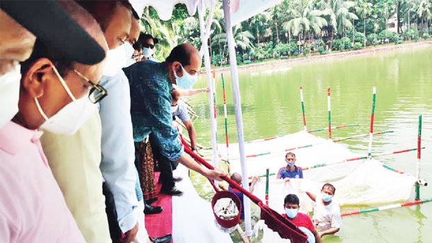 Fish fry released in city 