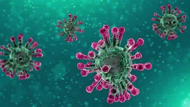 Health worker dies of Covid-19 in Thakurgaon