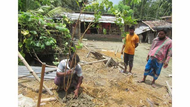 Jhenaidah man to continue tree planting throughout Mujib Barsho