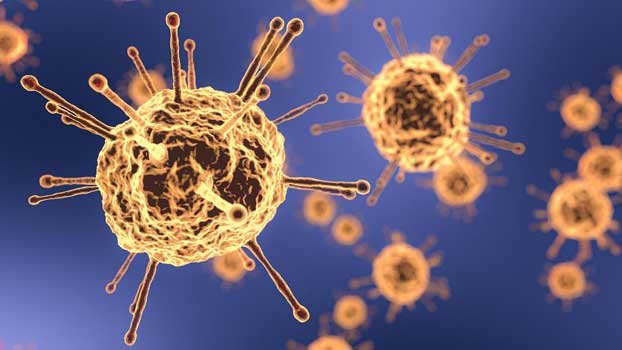 4 including a college student dead with corona symptoms in Khulna