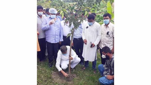  10,000 trees to be  planted in Magura