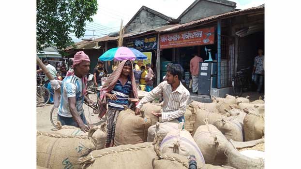 Jhenaidah farmers happy over price, Aus farming area likely to increase 