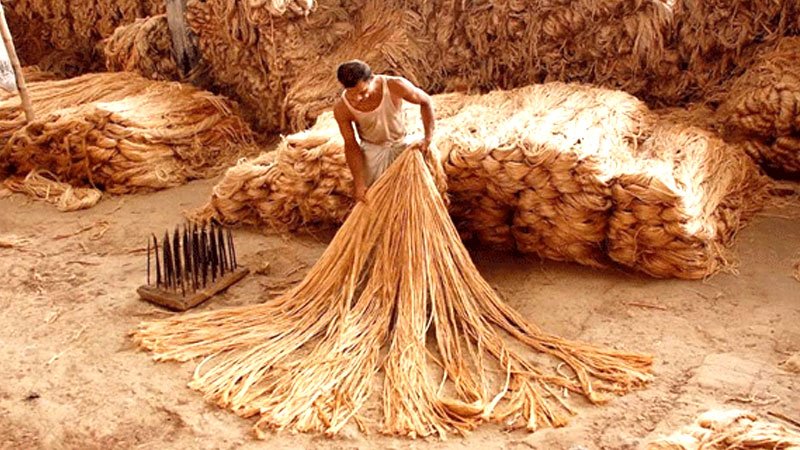 huge jute export potential emerges
