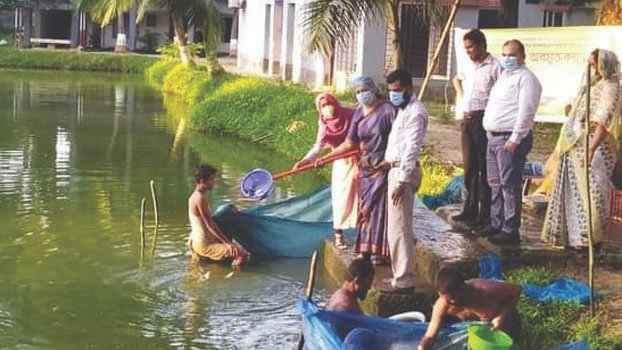 Fish fry released in Gazipur waterbody