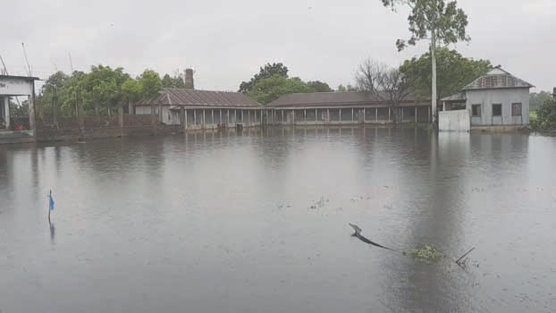 Flood hits over 600 pry schools in Tangail
