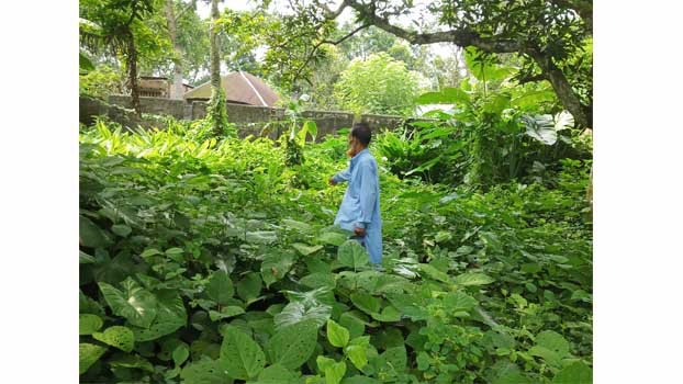 None to care for mass graves of FFs