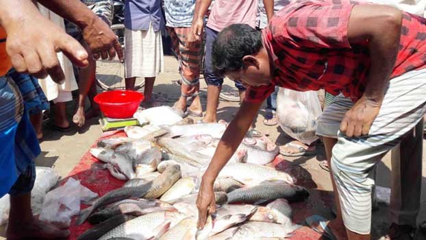 Fish price falls in Rajshahi, veg, spices dearer
