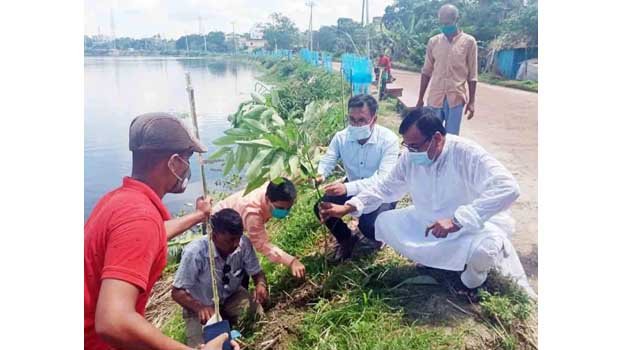 5,500 trees planted  marking Mujib Barsho