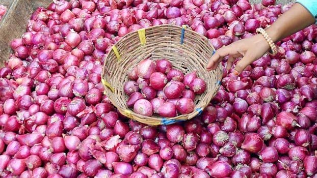 Onion market back to normal