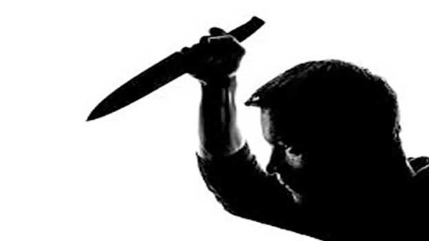 Snatchers stab photojournalist