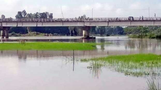 300 hectares of cropland inundated at Sariakandi