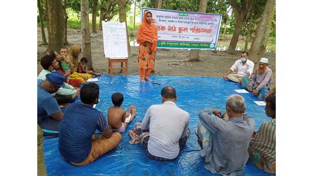 Rural women join training, agro-field activities in Jhenaidah