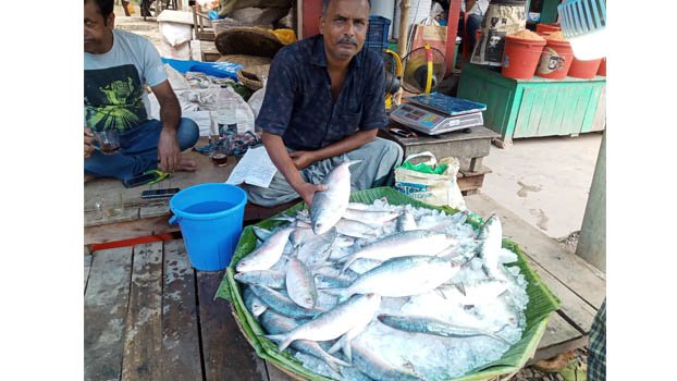 Supply of quality Hilsa drops in Jhenaidah fish markets