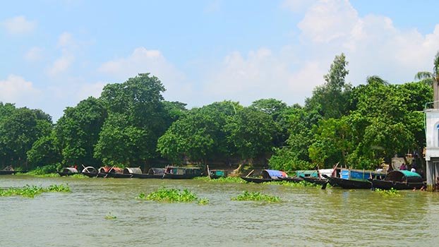 Digging to resurrect dead rivers