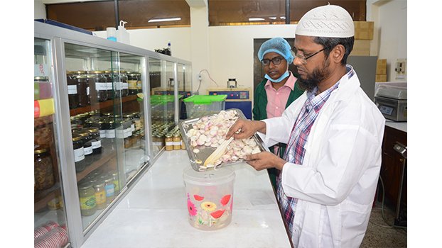 Spice Research Centre invents onion powder