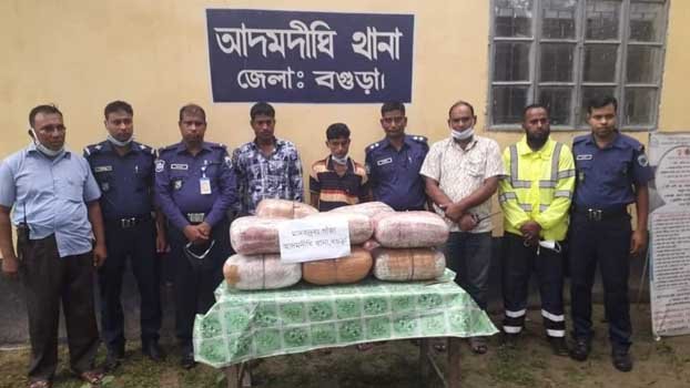 3 held with 60kg cannabis