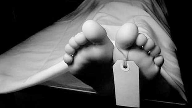 Timber trader murdered 