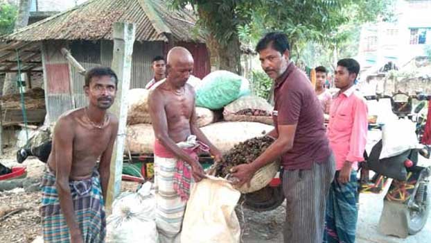 200 Jashore families earn living from snails