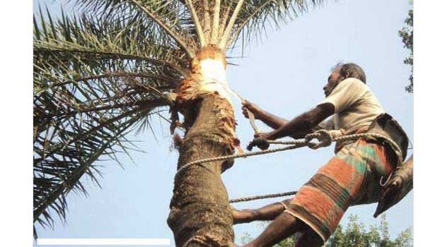 Winter approaches: Busy hours for date juice extractors