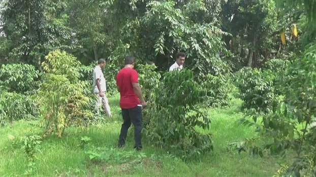 Hilly areas of Madhupur  suitable for coffee cultivation