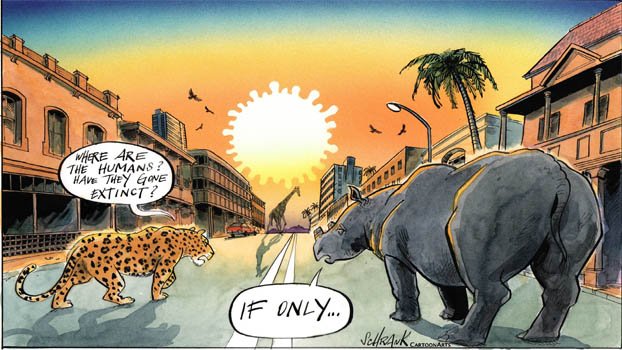 Can humanity grow up?