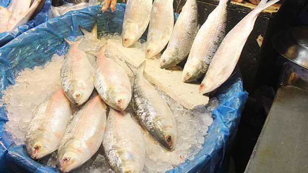 Silver haul from rivers plenty