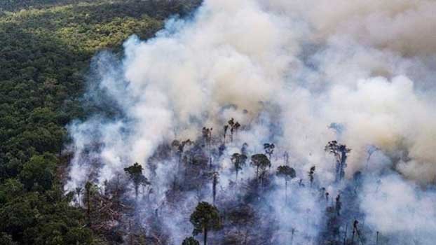 A polluter’s easy path to the zero emissions club