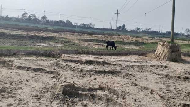 Electric poles beside Gomoti river posing a grave risk