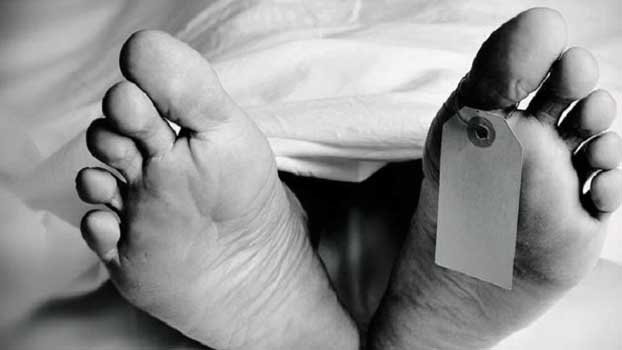 Throat-slit body recovered from paddy field in Jashore