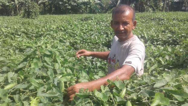 Pointed gourd brings cheer for Chatmohar man